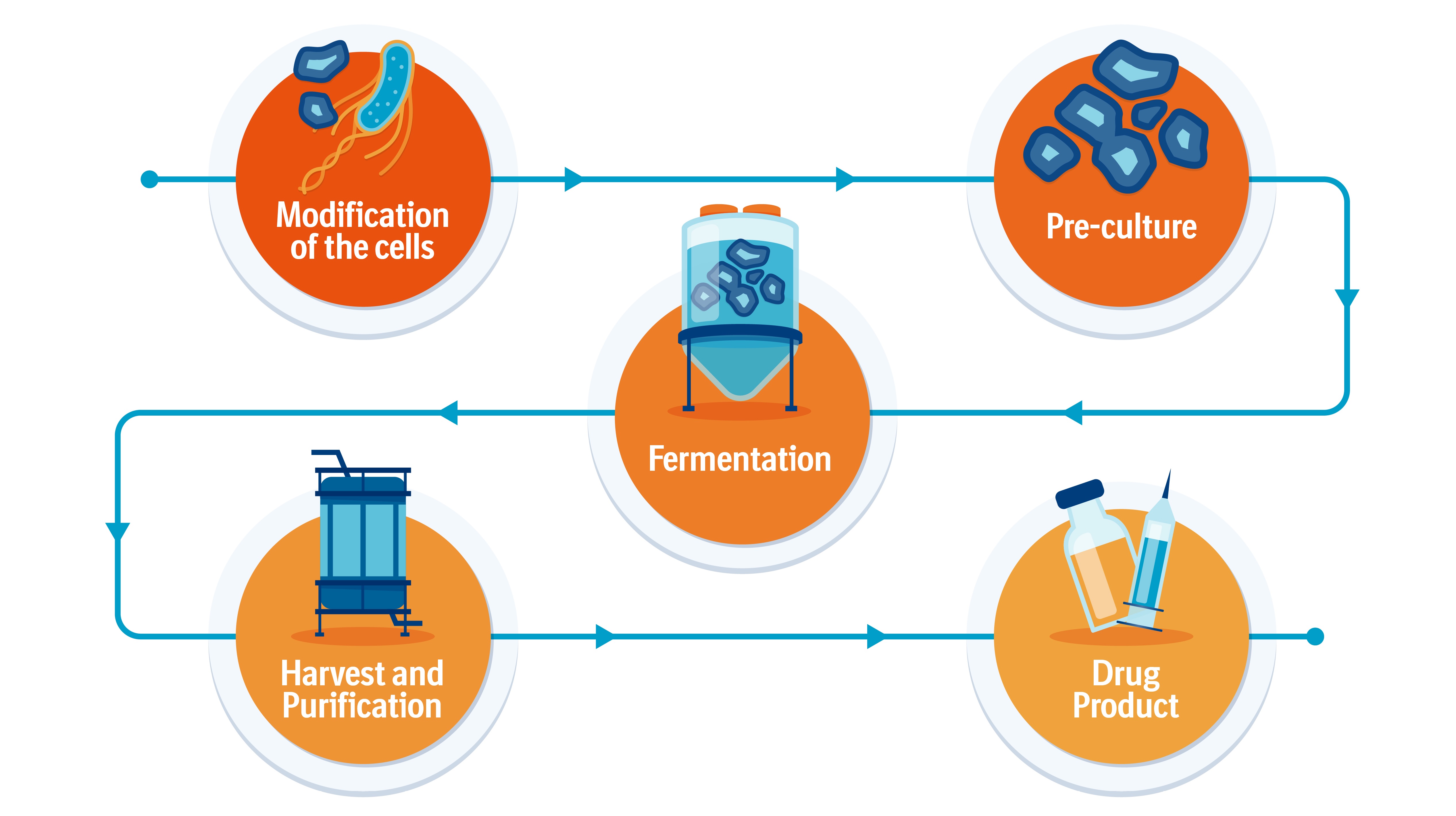 Monoclonal Antibody Production Bioxcellence Boehringer Ingelheim